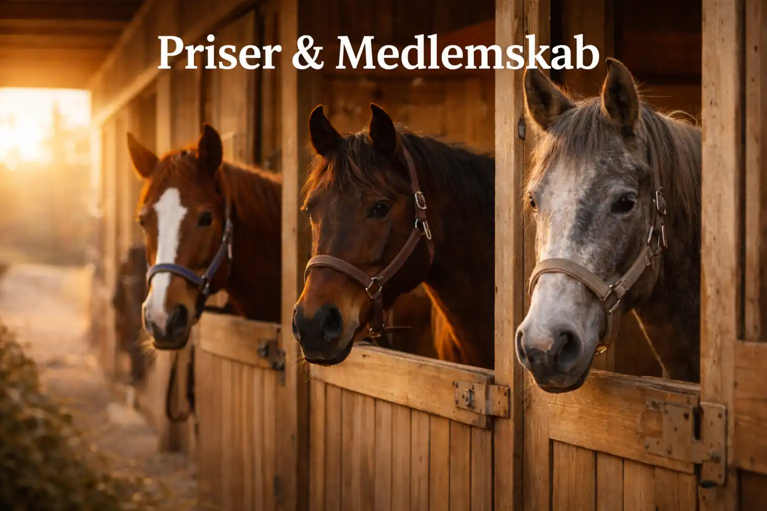 Priser